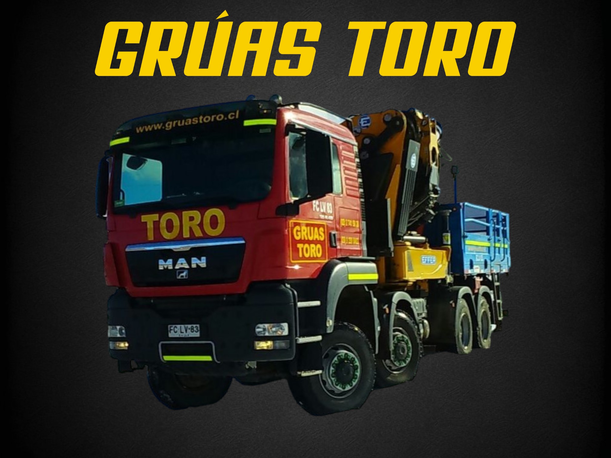 Grúas Toro